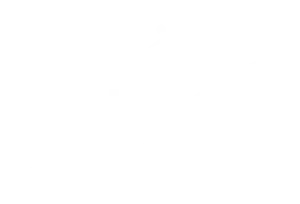 Adapt